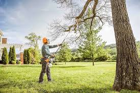 Best Fruit Tree Pruning  in Ellensburg, WA